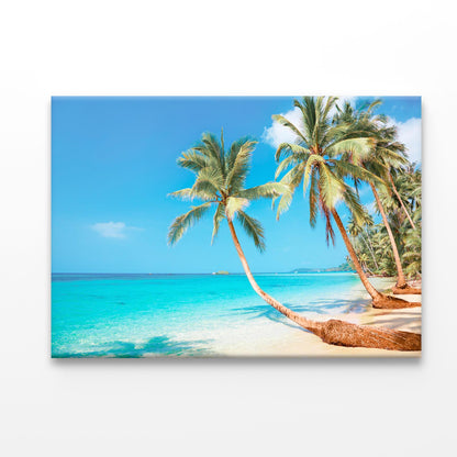 Tropical Beach Coconut Trees Acrylic Glass Print Tempered Glass Wall Art 100% Made in Australia Ready to Hang