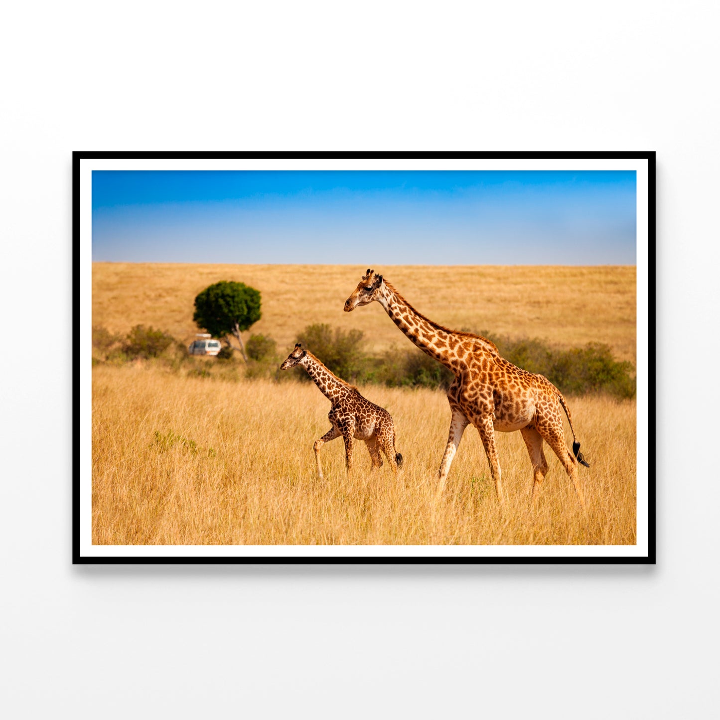 View of Two Giraffes and Safari Car in Kenya Home Decor Premium Quality Poster Print Choose Your Sizes