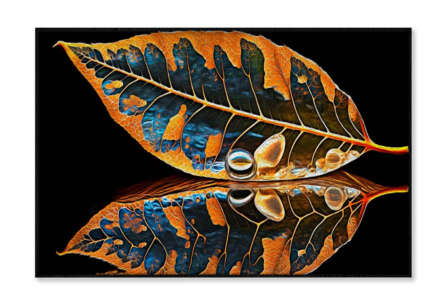 Skeletonized Transparent Leaf in Form of Curve Wall Art Limited Edition High Quality Print