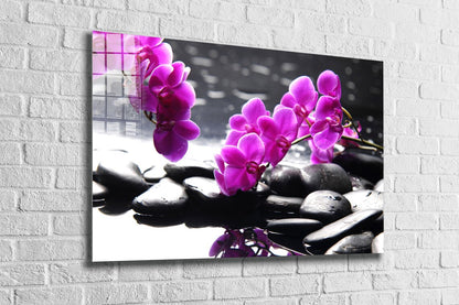 Zen Stones Pink Flowers UV Direct Aluminum Print Australian Made Quality