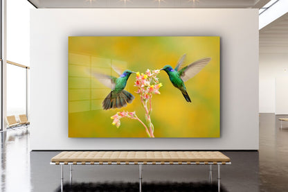 Hummingbirds & Flower UV Direct Aluminum Print Australian Made Quality