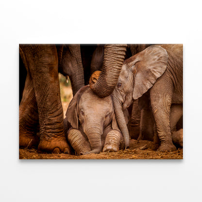 Baby Elephants with Caring Adult Wall Art Decor 100% Australian Made
