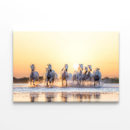 Herd Of Horses Running on Water Print 100% Australian Made