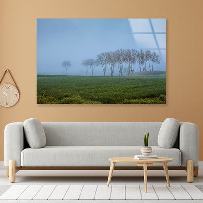 A Grassy Field with Trees, Clear Sky and Some Mist Acrylic Glass Print Tempered Glass Wall Art 100% Made in Australia Ready to Hang