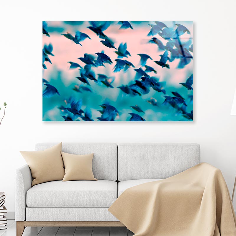 Birds Soaring Through the Sky Acrylic Glass Print Tempered Glass Wall Art 100% Made in Australia Ready to Hang