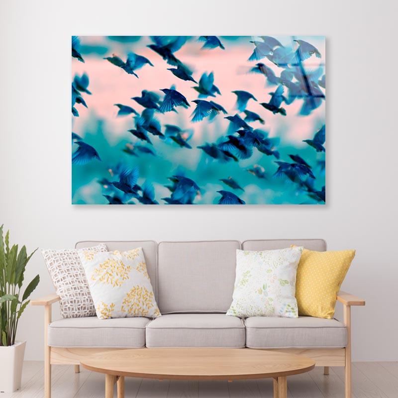 Birds Soaring Through the Sky Acrylic Glass Print Tempered Glass Wall Art 100% Made in Australia Ready to Hang