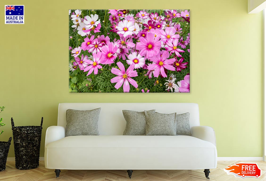 Cosmos Flowers In Green Meadow Print 100% Australian Made