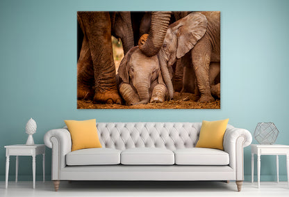 Baby Elephants with Caring Adult Wall Art Decor 100% Australian Made