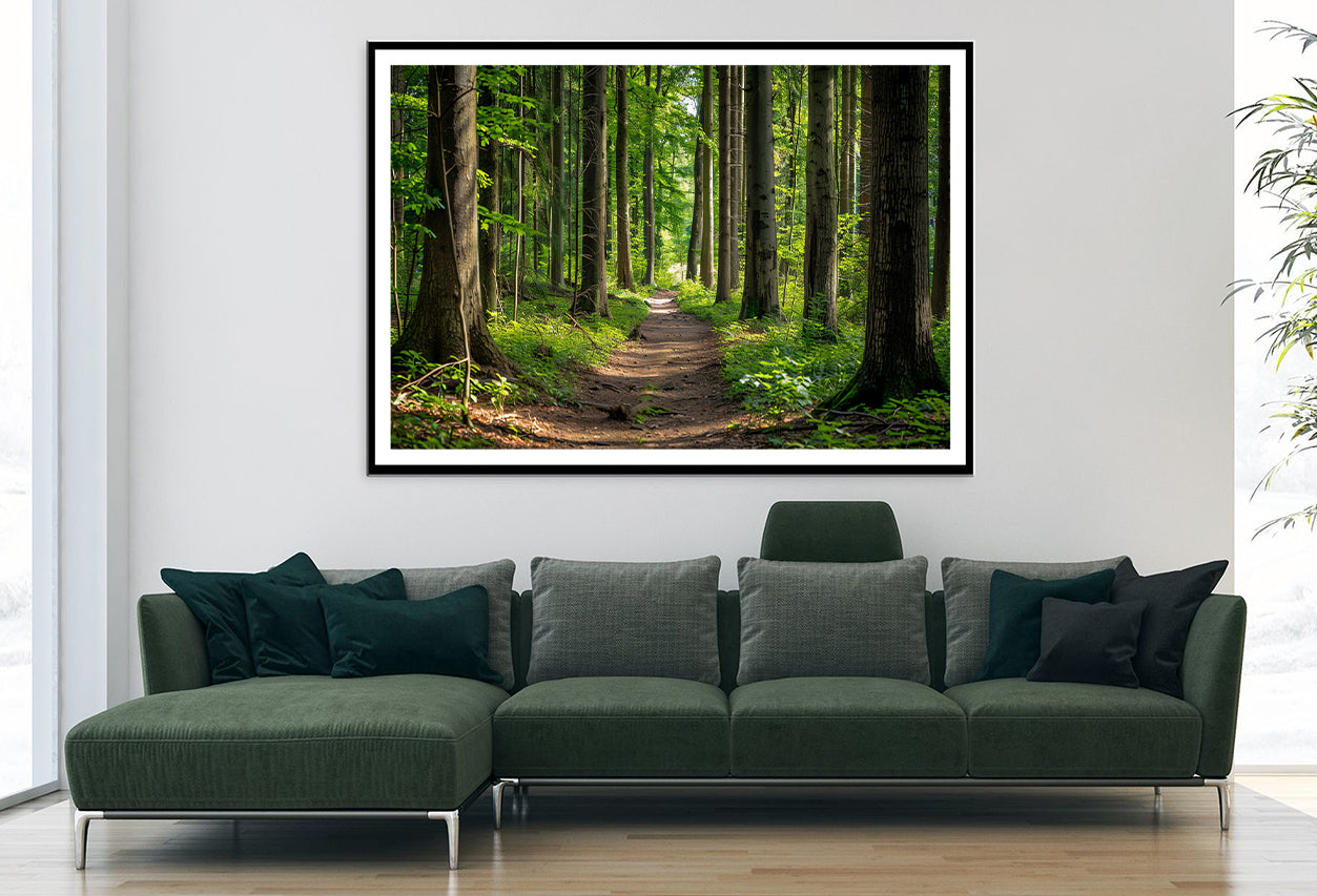 Forest Path through Tall Trees Home Decor Premium Quality Poster Print Choose Your Sizes