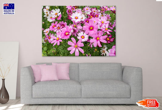 Cosmos Flowers In Green Meadow Print 100% Australian Made