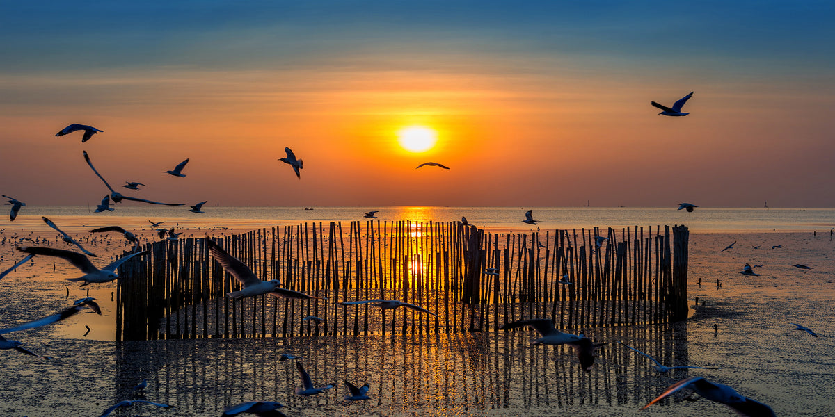 Sunset With Silhoutte Birds Flying Wall Art Canvas Office Home Room Framed 120x60cm