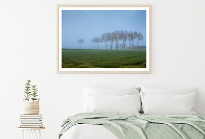 A Grassy Field with Trees, Clear Sky and Some Mist Home Decor Premium Quality Poster Print Choose Your Sizes