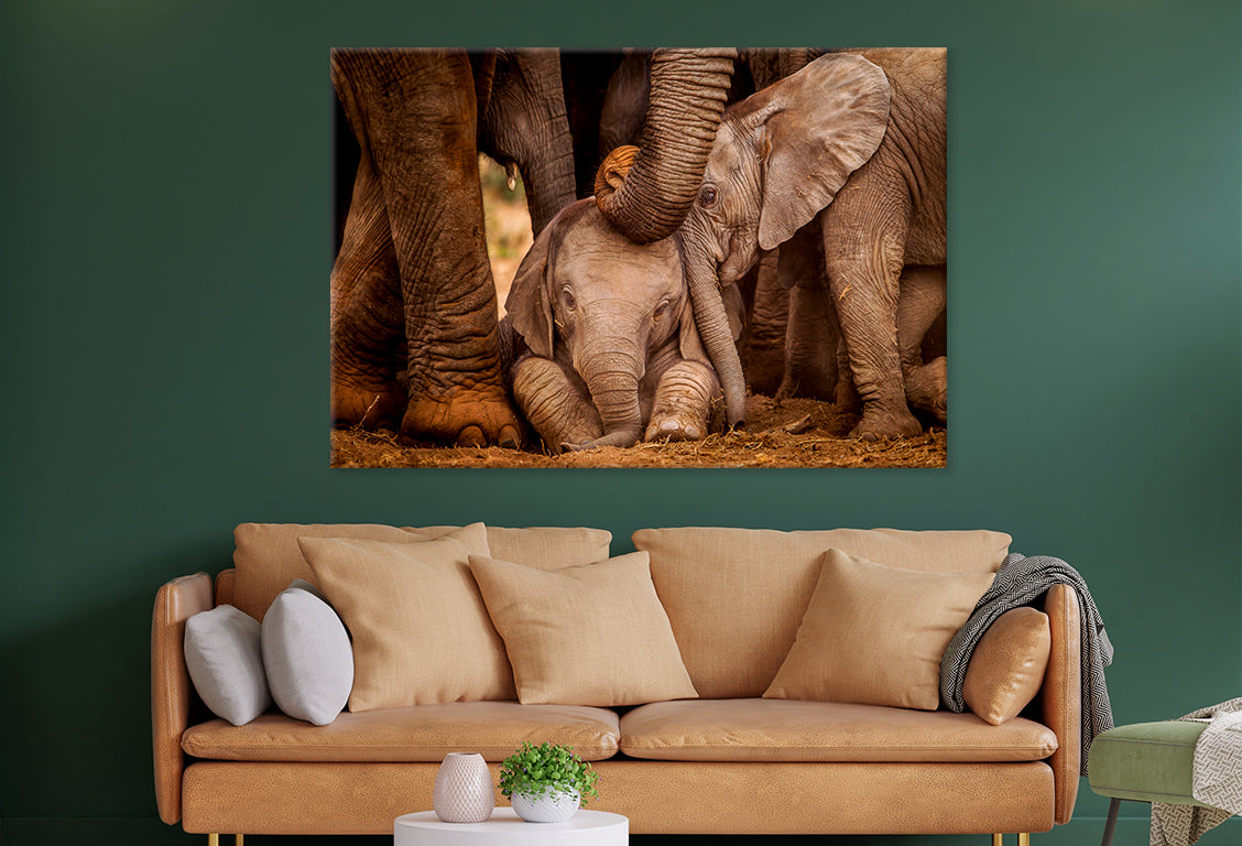 Baby Elephants with Caring Adult Wall Art Decor 100% Australian Made