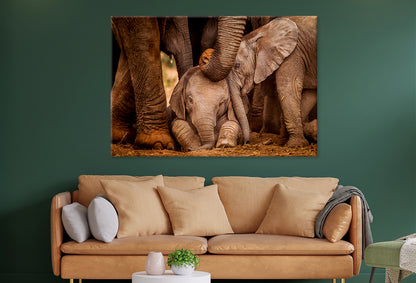 Baby Elephants with Caring Adult Wall Art Decor 100% Australian Made