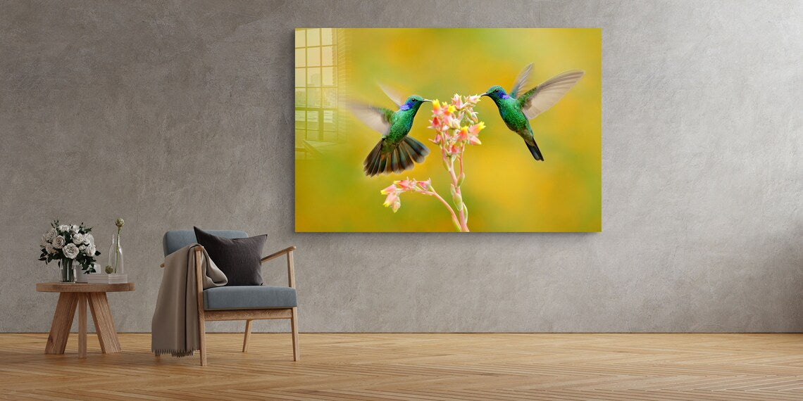 Hummingbirds & Flower UV Direct Aluminum Print Australian Made Quality