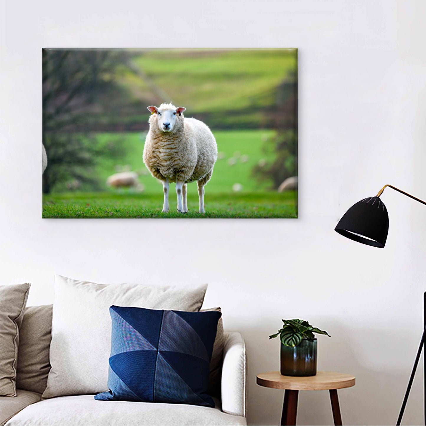Texel Sheep England Field Wall Art Decor 100% Australian Made