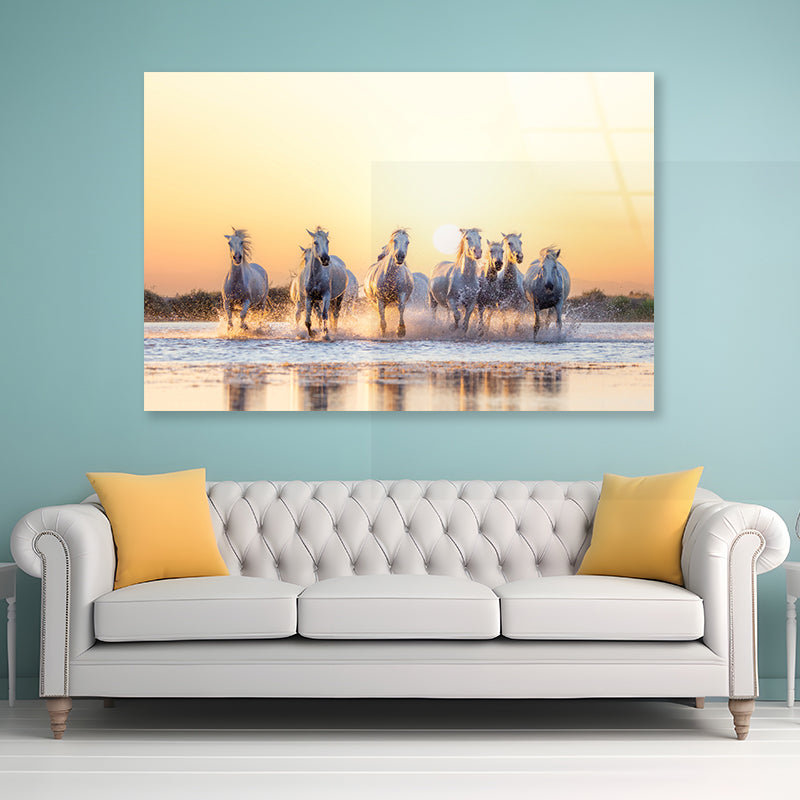 Herd Of Horses Running on Water Acrylic Glass Print Tempered Glass Wall Art 100% Made in Australia Ready to Hang