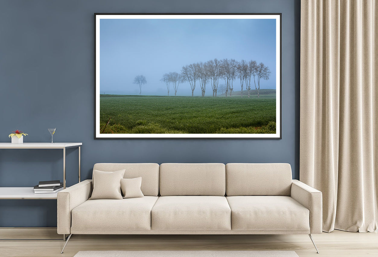 A Grassy Field with Trees, Clear Sky and Some Mist Home Decor Premium Quality Poster Print Choose Your Sizes