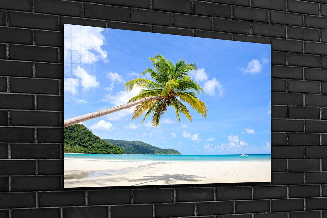 Palm Tree near Beach UV Direct Aluminum Print Australian Made Quality