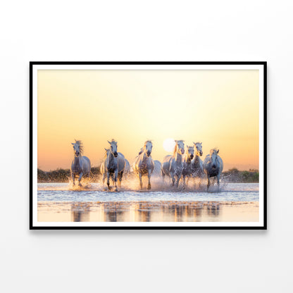 Herd Of Horses Running on Water Home Decor Premium Quality Poster Print Choose Your Sizes