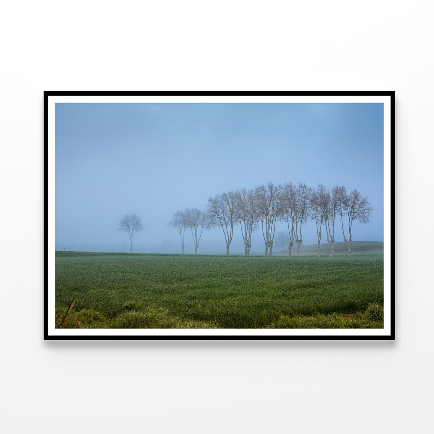 A Grassy Field with Trees, Clear Sky and Some Mist Home Decor Premium Quality Poster Print Choose Your Sizes