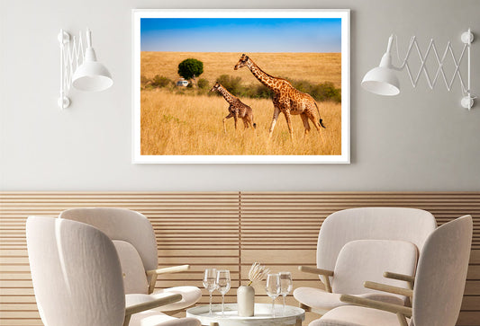 View of Two Giraffes and Safari Car in Kenya Home Decor Premium Quality Poster Print Choose Your Sizes