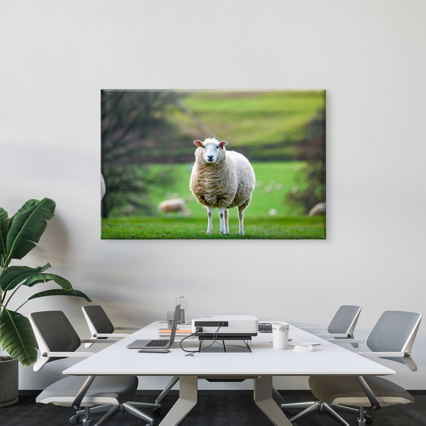 Texel Sheep England Field Wall Art Decor 100% Australian Made
