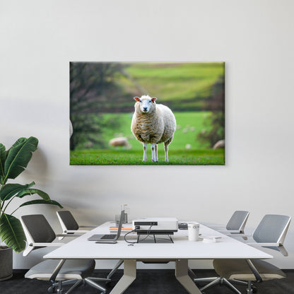 Texel Sheep England Field Wall Art Decor 100% Australian Made