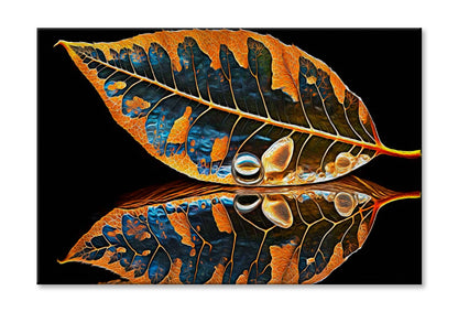 Skeletonized Transparent Leaf in Form of Curve Wall Art Limited Edition High Quality Print