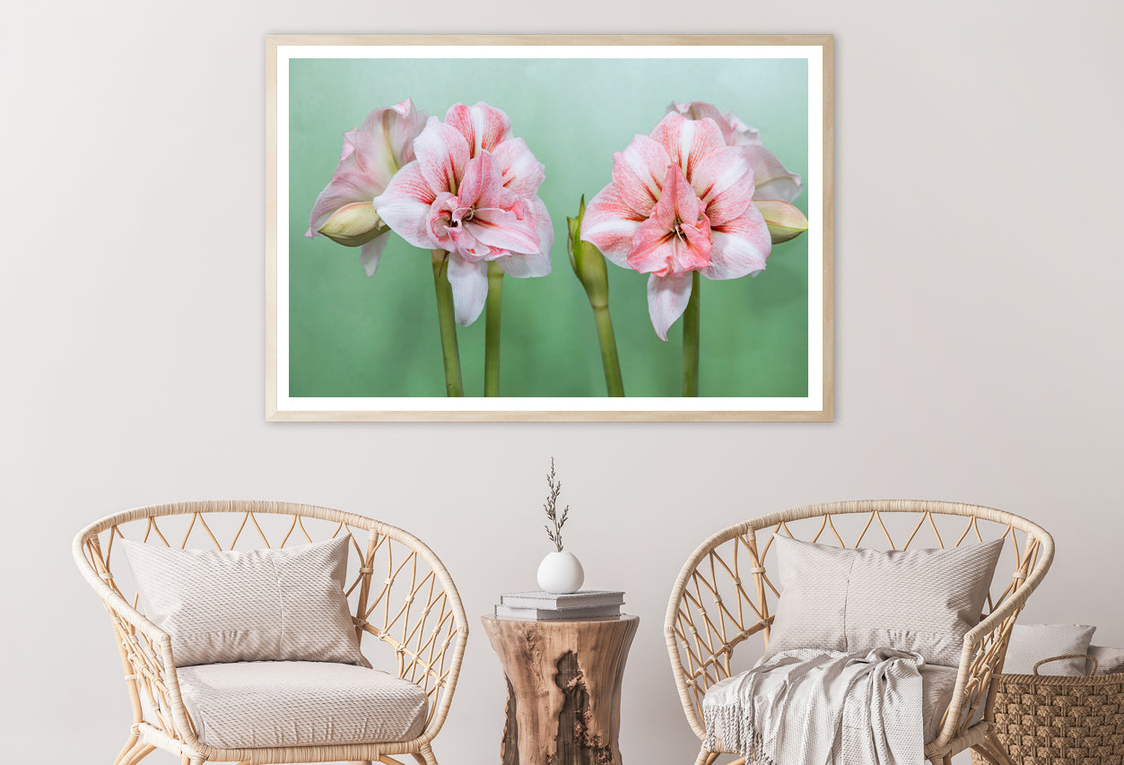 View of a Group of Pink Flowers Home Decor Premium Quality Poster Print Choose Your Sizes