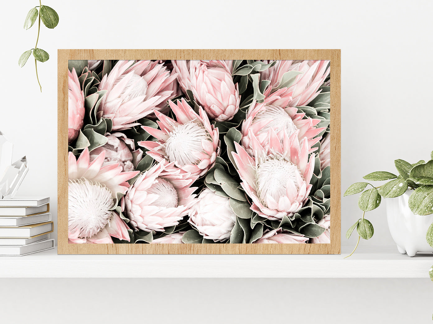 Protea Flowers Closeup Faded Photograph Glass Framed Wall Art, Ready to Hang Quality Print Without White Border Oak