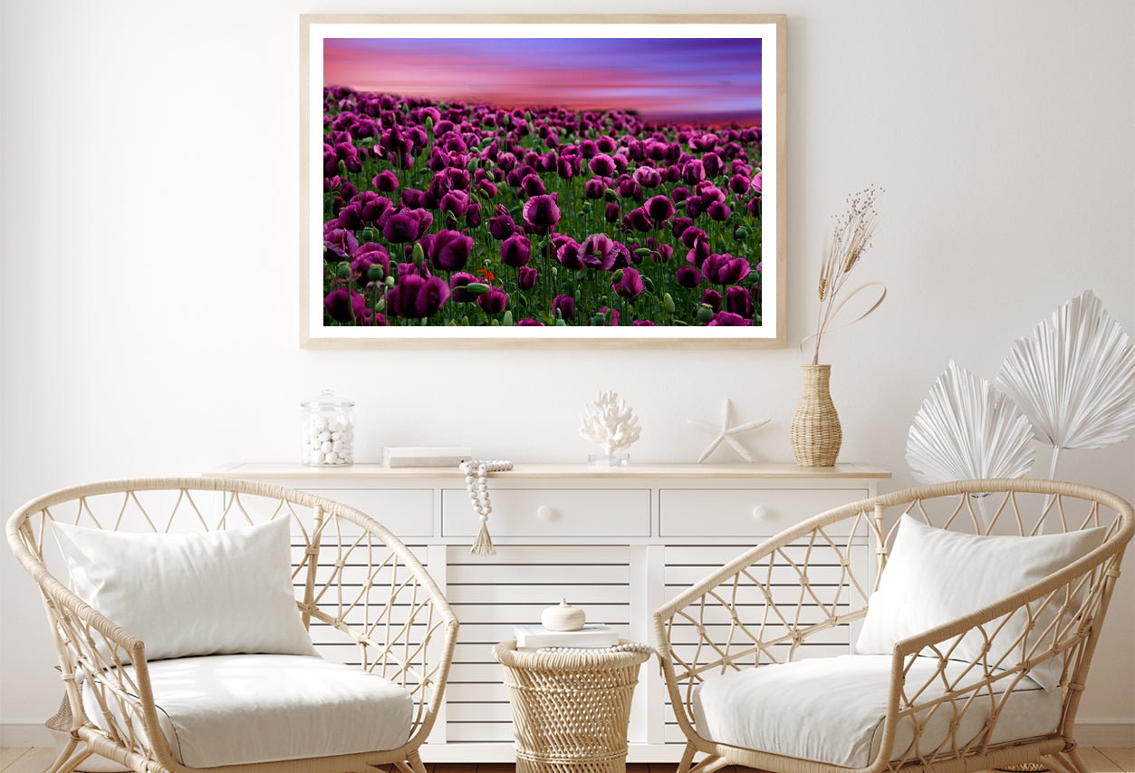 Romantic Sunset on a Field with Poppies Home Decor Premium Quality Poster Print Choose Your Sizes