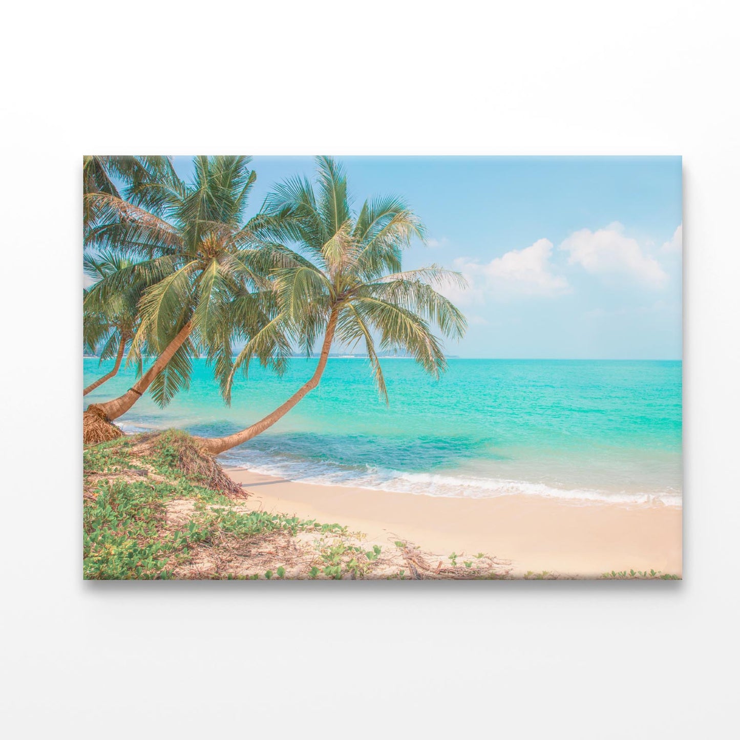 Tropical Beach with Coconut Palm Tree Acrylic Glass Print Tempered Glass Wall Art 100% Made in Australia Ready to Hang