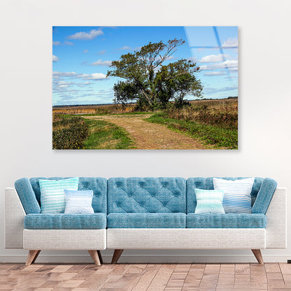 A Tree in the Vast Of Parker River Acrylic Glass Print Tempered Glass Wall Art 100% Made in Australia Ready to Hang