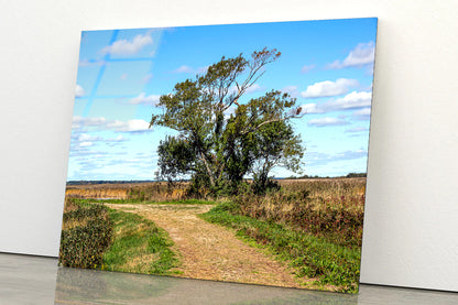 A Tree in the Vast Of Parker River Acrylic Glass Print Tempered Glass Wall Art 100% Made in Australia Ready to Hang