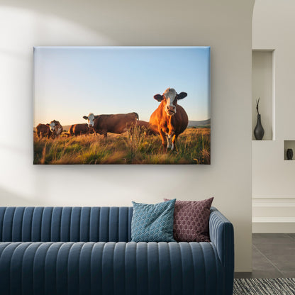 Hereford Cattle South Africa Wall Art Decor 100% Australian Made