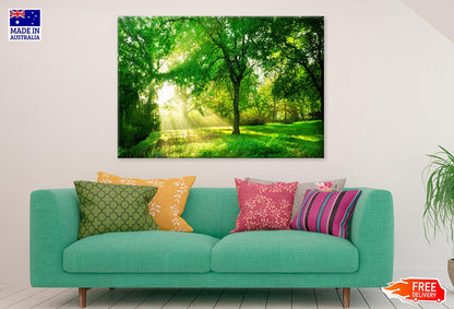 Green Forest With Sunrise spring Print 100% Australian Made