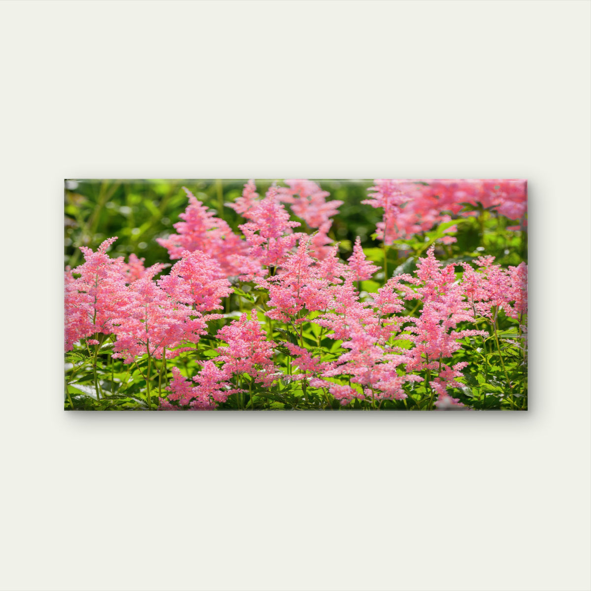 Pink Astilbe Garden Flower Wall Art Canvas Office Home Room Framed 120x60cm