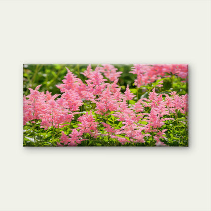 Pink Astilbe Garden Flower Wall Art Canvas Office Home Room Framed 120x60cm