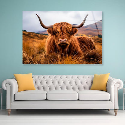 Highland Cow with Horns & Mountain View Acrylic Glass Print Tempered Glass Wall Art 100% Made in Australia Ready to Hang