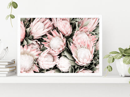 Protea Flowers Closeup Faded Photograph Glass Framed Wall Art, Ready to Hang Quality Print Without White Border White