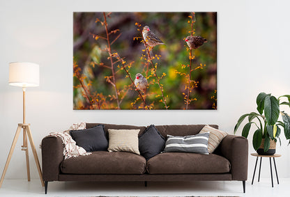 Red-billed Queleas in Kruger Park  Wall Art Decor 100% Australian Made