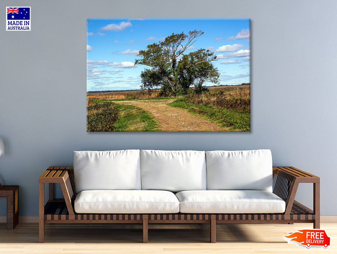 A Tree in the Vast Of Parker River Print 100% Australian Made