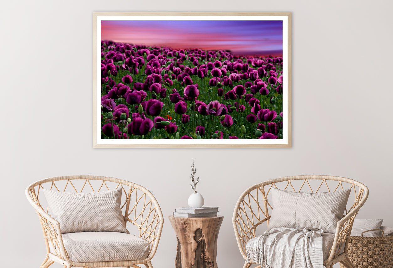 Romantic Sunset on a Field with Poppies Home Decor Premium Quality Poster Print Choose Your Sizes