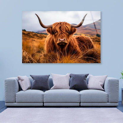 Highland Cow with Horns & Mountain View Acrylic Glass Print Tempered Glass Wall Art 100% Made in Australia Ready to Hang