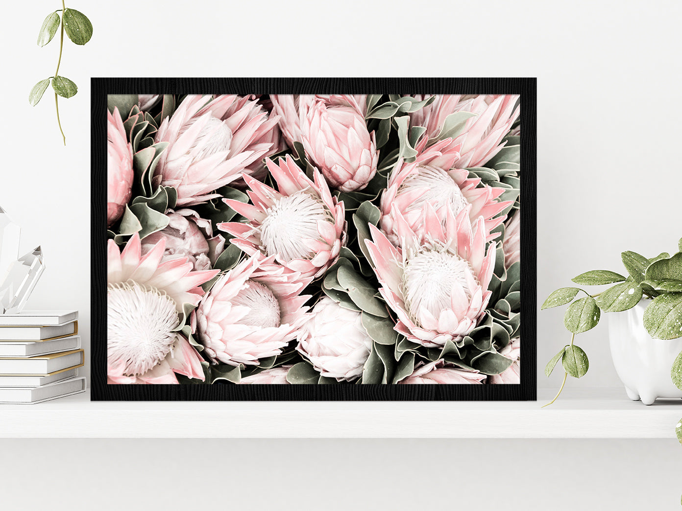 Protea Flowers Closeup Faded Photograph Glass Framed Wall Art, Ready to Hang Quality Print Without White Border Black