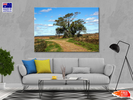 A Tree in the Vast Of Parker River Print 100% Australian Made