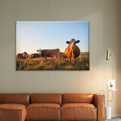 Hereford Cattle South Africa Wall Art Decor 100% Australian Made