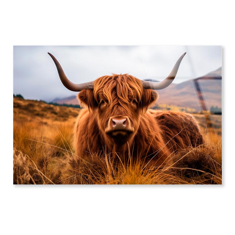 Highland Cow with Horns & Mountain View Acrylic Glass Print Tempered Glass Wall Art 100% Made in Australia Ready to Hang