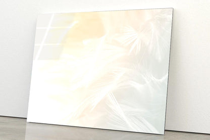 Beautiful White Feather Acrylic Glass Print Tempered Glass Wall Art 100% Made in Australia Ready to Hang